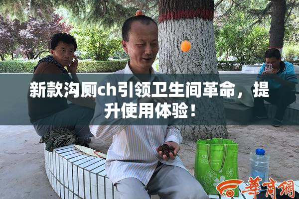 新款沟厕ch引领卫生间革命，提升使用体验！