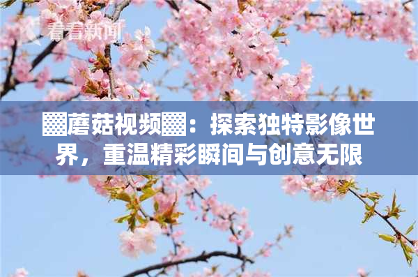 ▓蘑菇视频▓：探索独特影像世界，重温精彩瞬间与创意无限