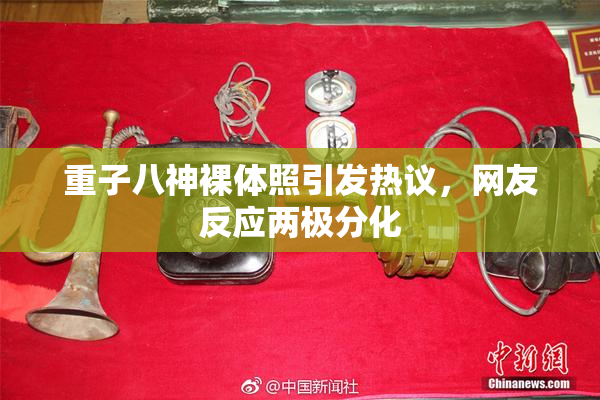 重子八神裸体照引发热议，网友反应两极分化