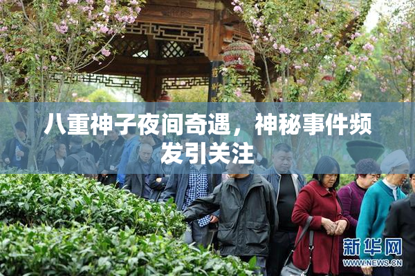 八重神子夜间奇遇，神秘事件频发引关注