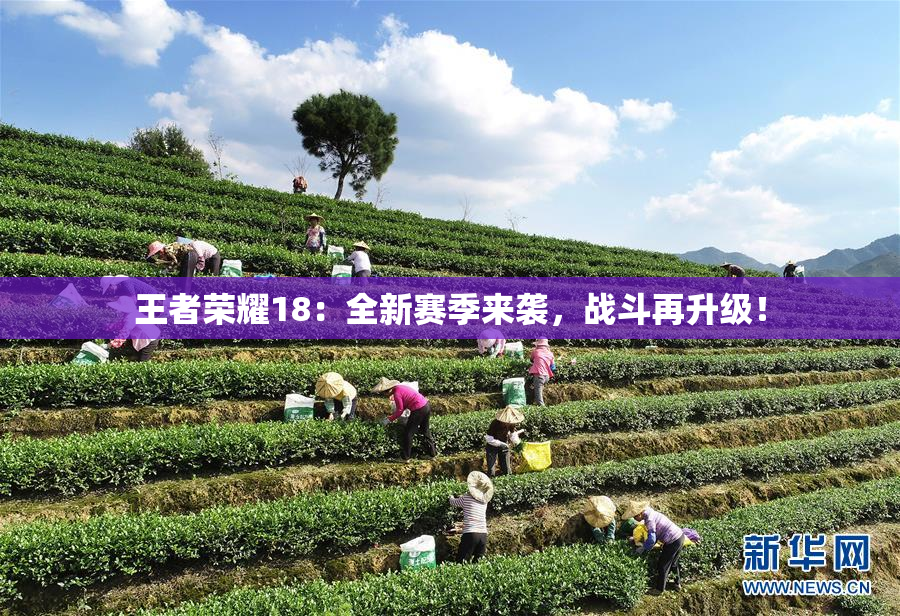 王者荣耀18：全新赛季来袭，战斗再升级！