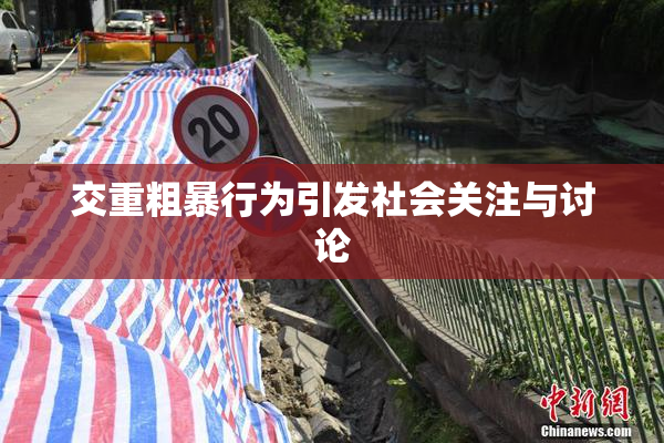 交重粗暴行为引发社会关注与讨论