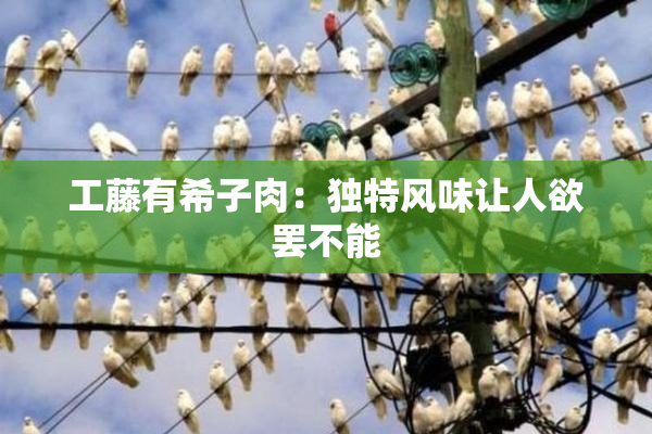 工藤有希子肉：独特风味让人欲罢不能
