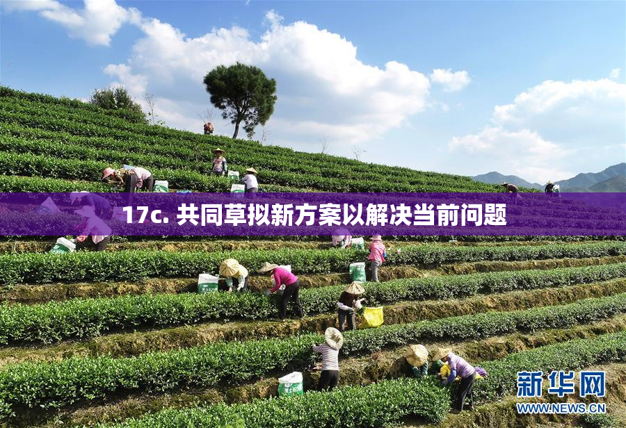 17c. 共同草拟新方案以解决当前问题