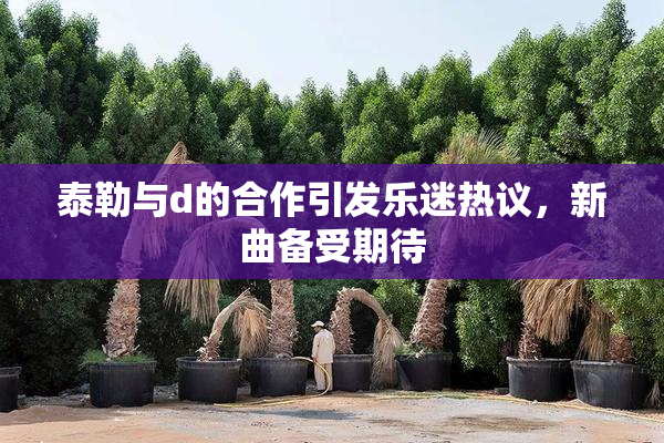 泰勒与d的合作引发乐迷热议，新曲备受期待