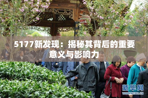 5177新发现：揭秘其背后的重要意义与影响力