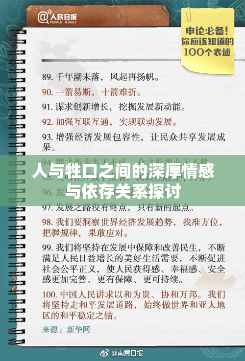 人与牲口之间的深厚情感与依存关系探讨