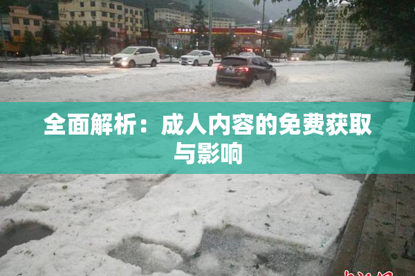 全面解析：成人内容的免费获取与影响