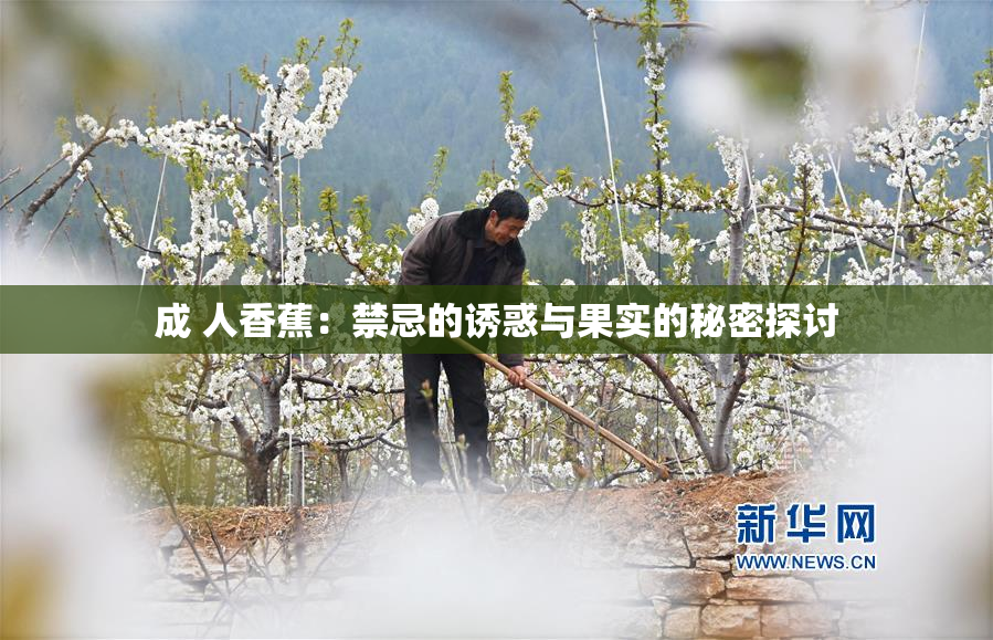 成 人香蕉：禁忌的诱惑与果实的秘密探讨