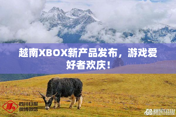 越南XBOX新产品发布，游戏爱好者欢庆！