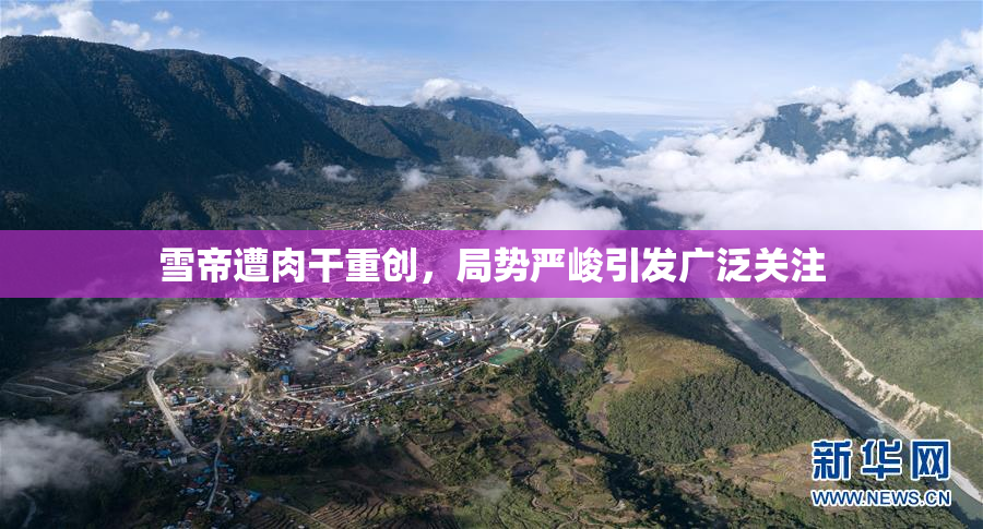 雪帝遭肉干重创，局势严峻引发广泛关注