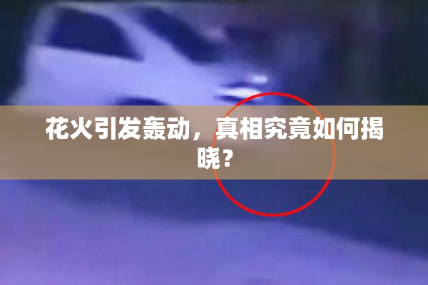 花火引发轰动，真相究竟如何揭晓？