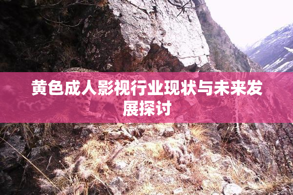 黄色成人影视行业现状与未来发展探讨