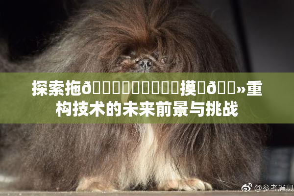 探索拖👙❌‌❌‌❌‌摸‌🐻重构技术的未来前景与挑战
