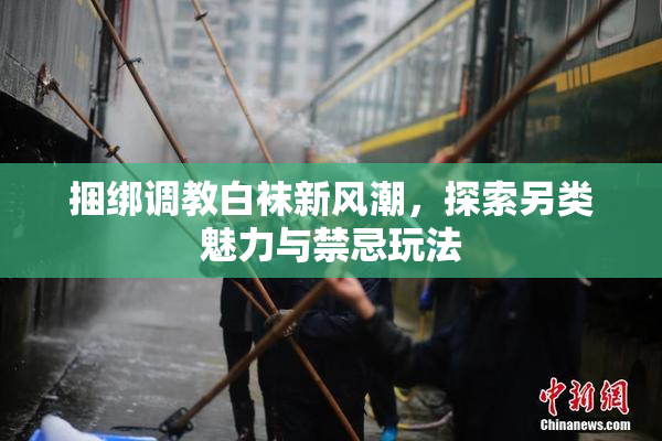 捆绑调教白袜新风潮，探索另类魅力与禁忌玩法