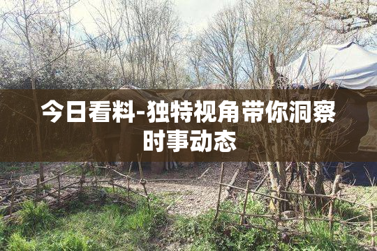 今日看料-独特视角带你洞察时事动态