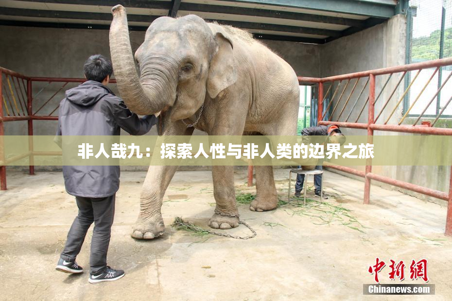 非人哉九：探索人性与非人类的边界之旅