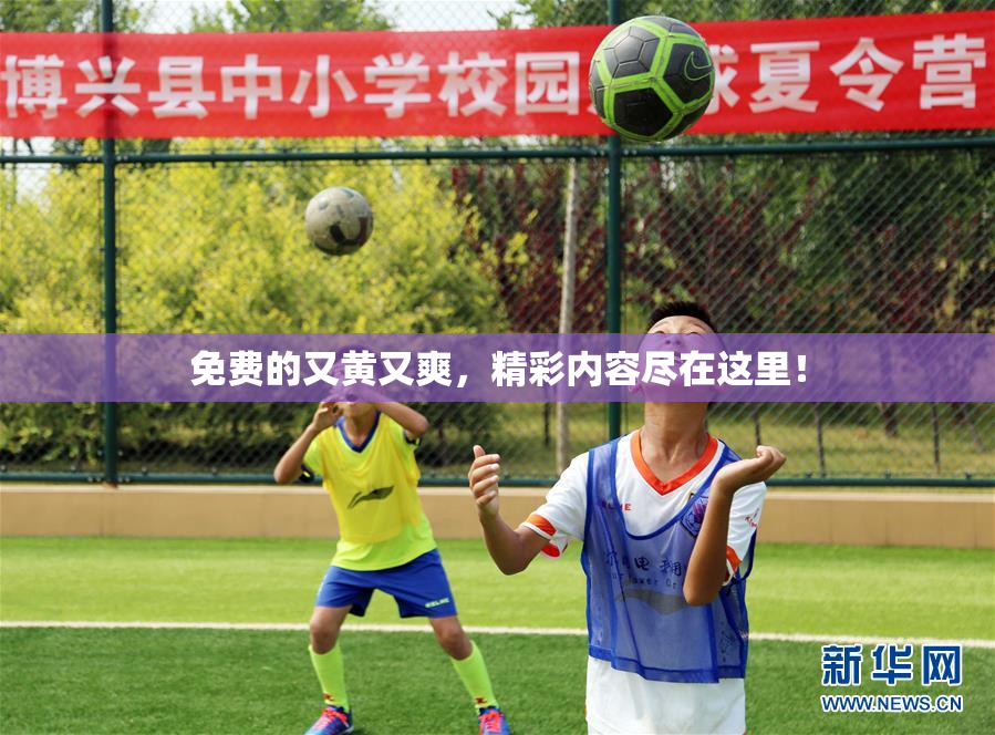 免费的又黄又爽，精彩内容尽在这里！