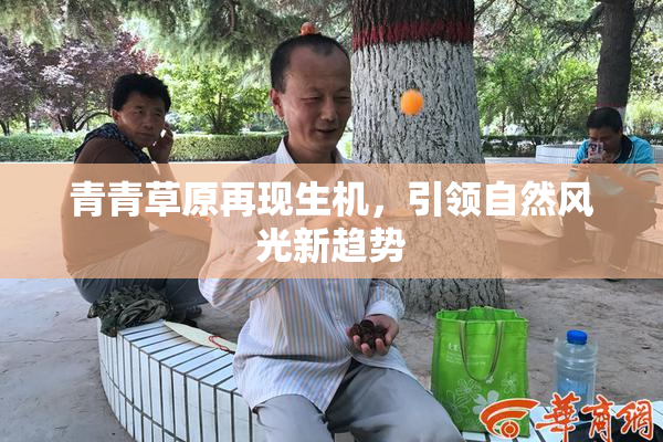 青青草原再现生机，引领自然风光新趋势