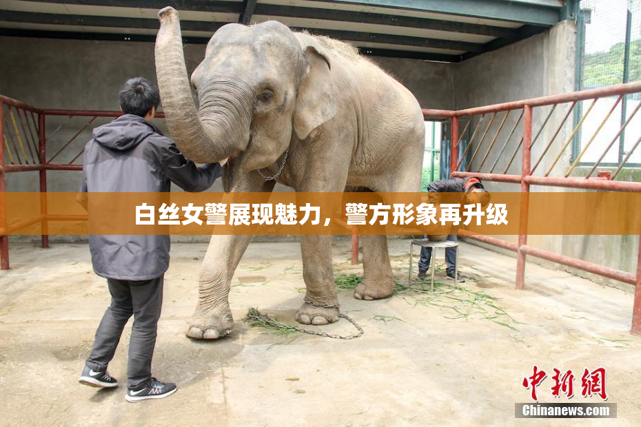 白丝女警展现魅力，警方形象再升级