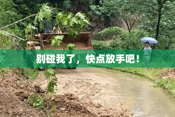 别碰我了，快点放手吧！