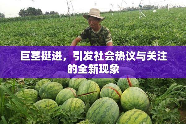 巨茎挺进，引发社会热议与关注的全新现象