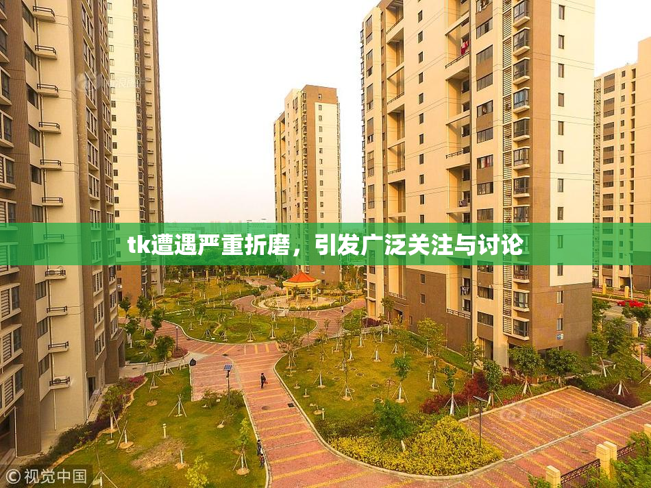tk遭遇严重折磨，引发广泛关注与讨论