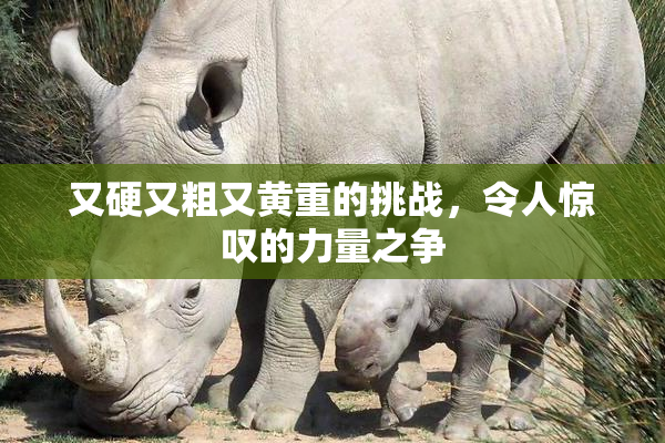 又硬又粗又黄重的挑战，令人惊叹的力量之争