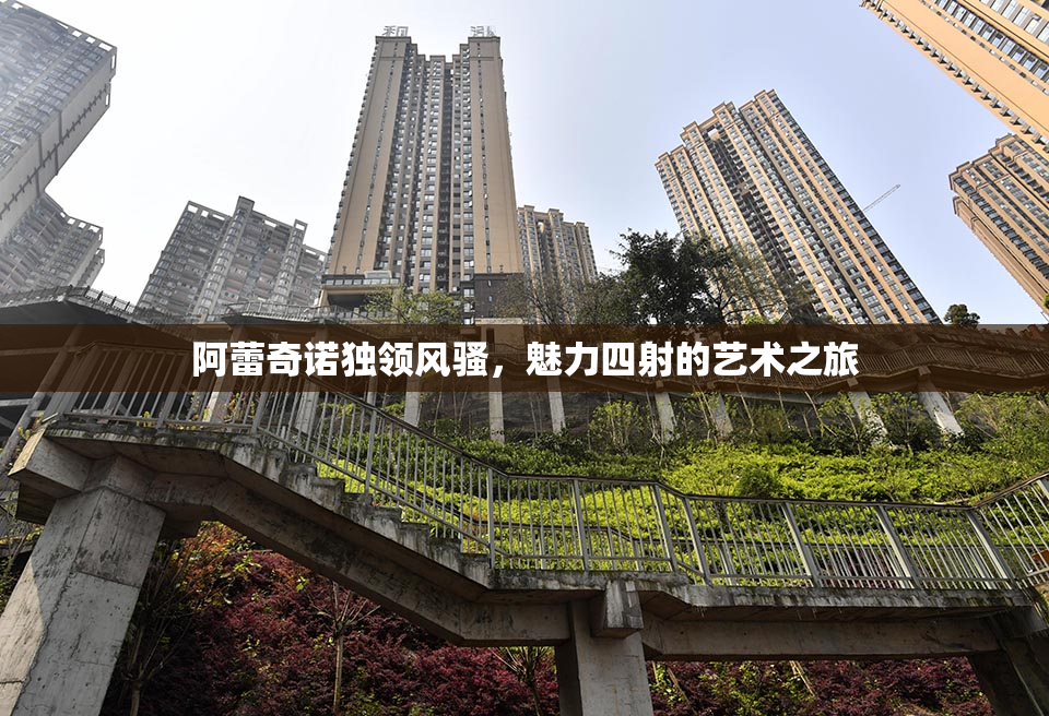 阿蕾奇诺独领风骚，魅力四射的艺术之旅