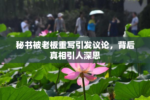 秘书被老板重写引发议论，背后真相引人深思