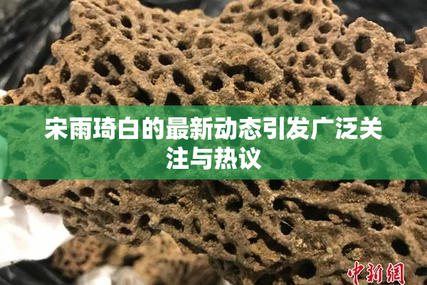 宋雨琦白的最新动态引发广泛关注与热议
