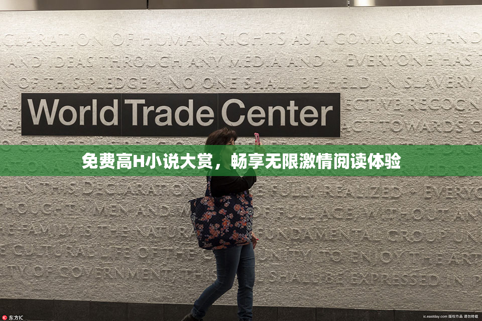 免费高H小说大赏，畅享无限激情阅读体验
