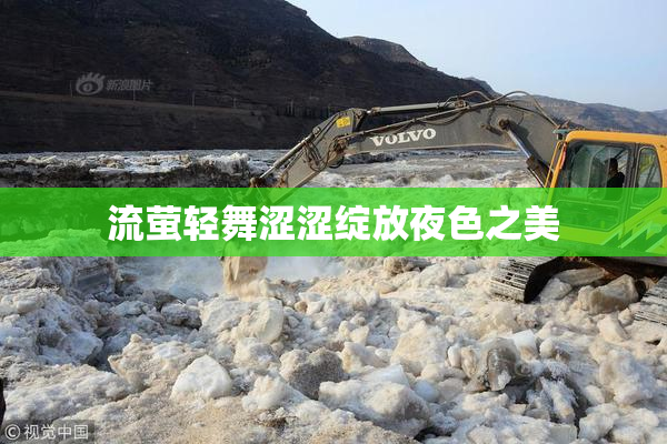 流萤轻舞涩涩绽放夜色之美