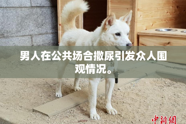 男人在公共场合撒尿引发众人围观情况。