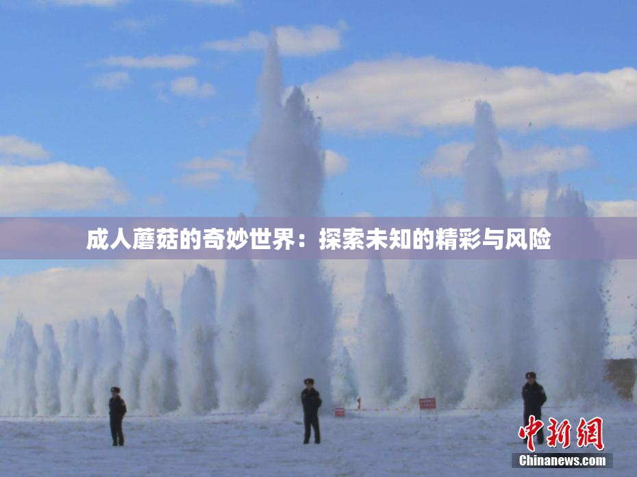 成人蘑菇的奇妙世界：探索未知的精彩与风险