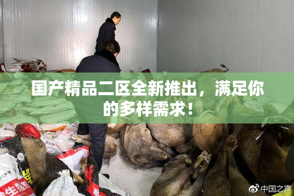 国产精品二区全新推出，满足你的多样需求！