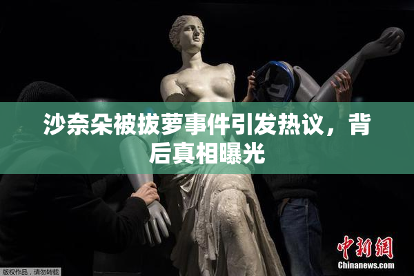 沙奈朵被拔萝事件引发热议，背后真相曝光