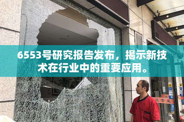 6553号研究报告发布，揭示新技术在行业中的重要应用。