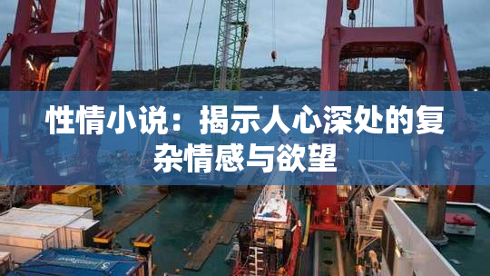 性情小说：揭示人心深处的复杂情感与欲望