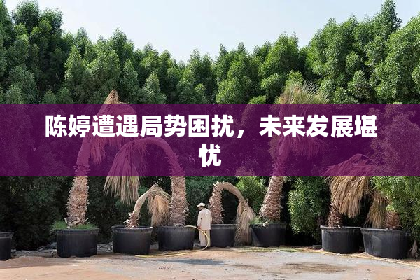陈婷遭遇局势困扰，未来发展堪忧