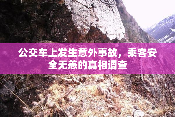 公交车上发生意外事故，乘客安全无恙的真相调查