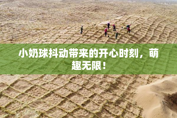 小奶球抖动带来的开心时刻，萌趣无限！