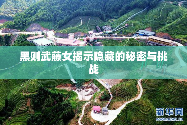 黑则武藤女揭示隐藏的秘密与挑战