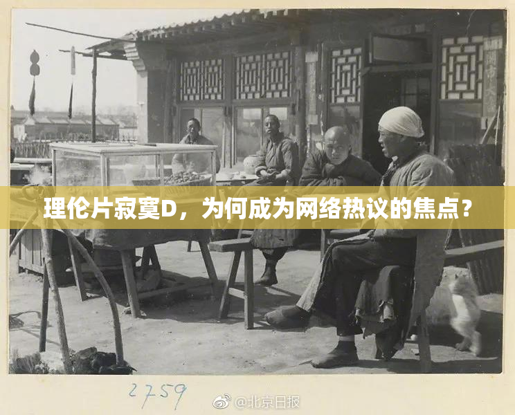 理伦片寂寞D，为何成为网络热议的焦点？