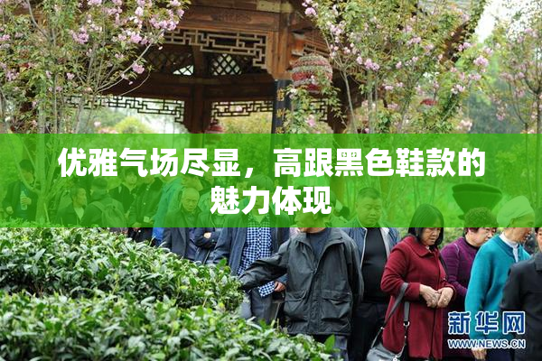 优雅气场尽显，高跟黑色鞋款的魅力体现