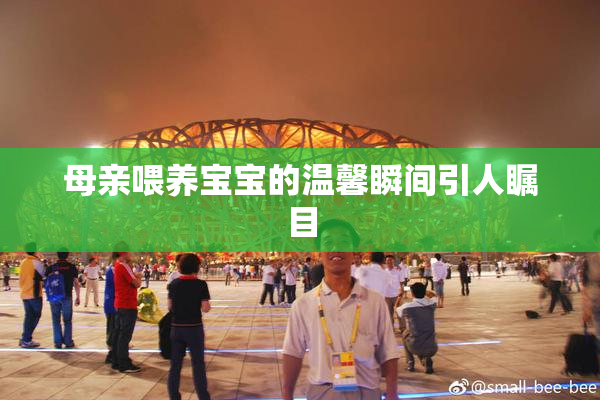 母亲喂养宝宝的温馨瞬间引人瞩目