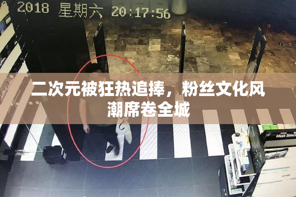 二次元被狂热追捧，粉丝文化风潮席卷全城