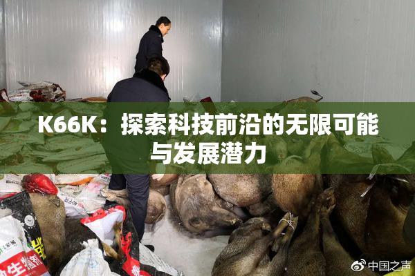 K66K：探索科技前沿的无限可能与发展潜力