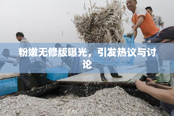 粉嫩无修版曝光，引发热议与讨论