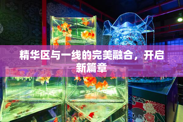 精华区与一线的完美融合，开启新篇章